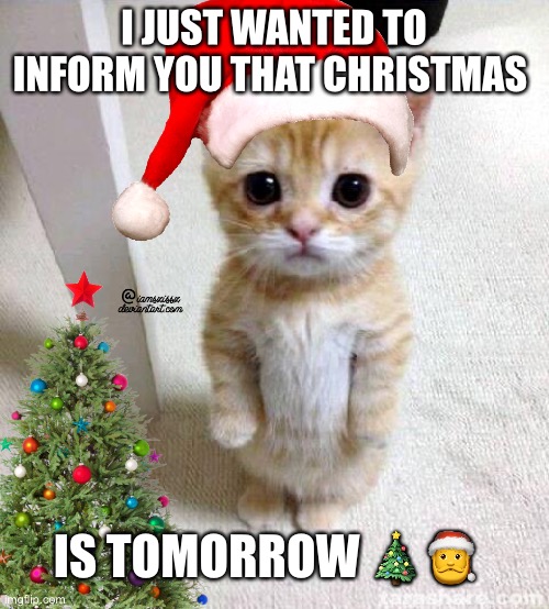 Christmas | I JUST WANTED TO INFORM YOU THAT CHRISTMAS; IS TOMORROW 🎄🎅 | image tagged in cute cat,christmas | made w/ Imgflip meme maker