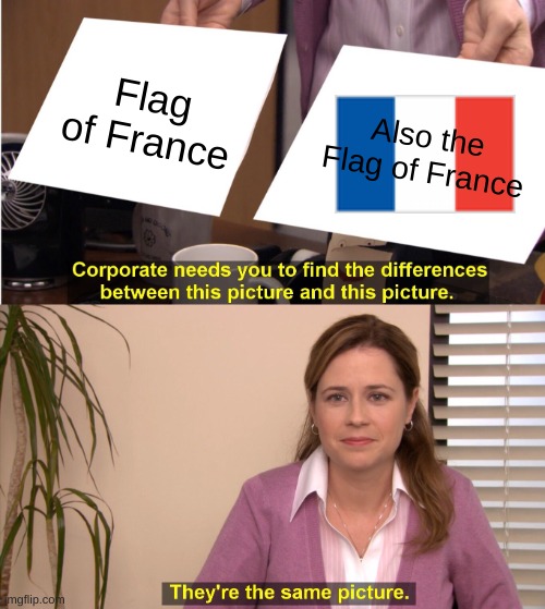 I mean, it's technically true. | Flag of France; Also the Flag of France | image tagged in memes,they're the same picture | made w/ Imgflip meme maker