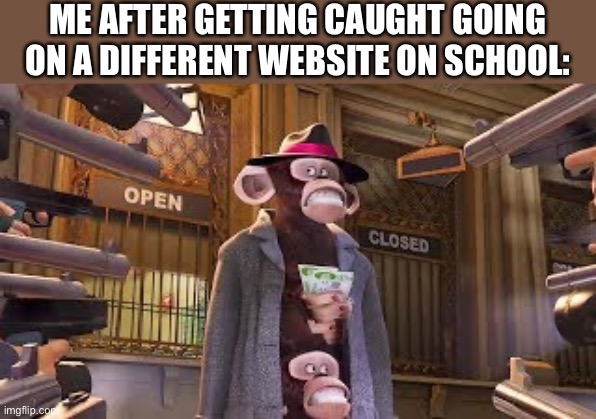 Monkeys get Caught | ME AFTER GETTING CAUGHT GOING ON A DIFFERENT WEBSITE ON SCHOOL: | image tagged in monkeys get caught,memes,school meme,school,school memes,funny | made w/ Imgflip meme maker