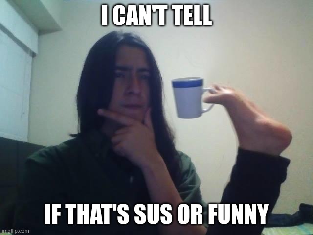 Guy Holding Mug and Thinking Meme | I CAN'T TELL IF THAT'S SUS OR FUNNY | image tagged in guy holding mug and thinking meme | made w/ Imgflip meme maker