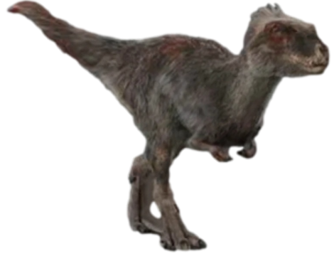 Moros 4 Blank Meme Template