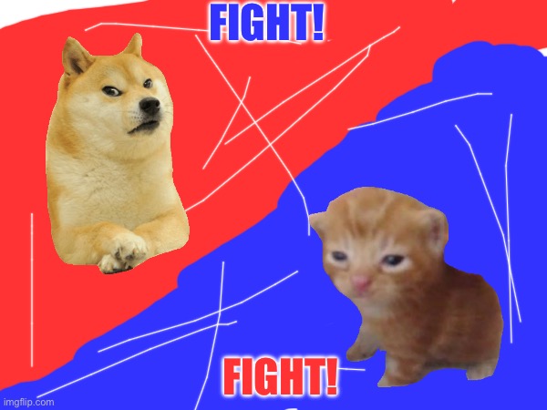Dog cat fight!! | FIGHT! FIGHT! | image tagged in dog,cat,fights | made w/ Imgflip meme maker