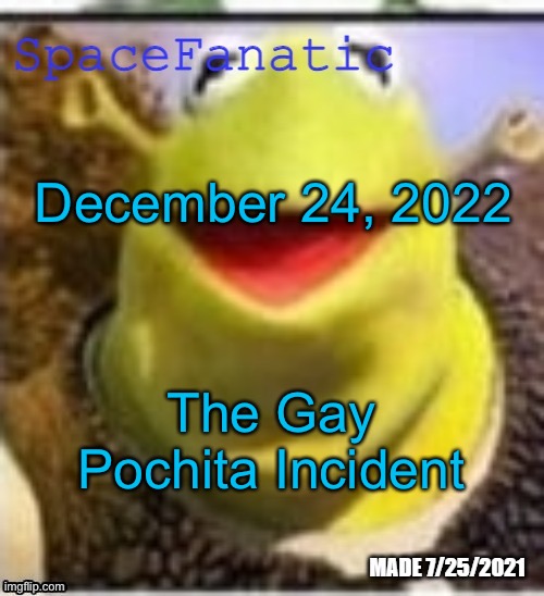 Someone save this on the WayBack Machine | December 24, 2022; The Gay Pochita Incident | image tagged in spacefanatic announcement temp | made w/ Imgflip meme maker