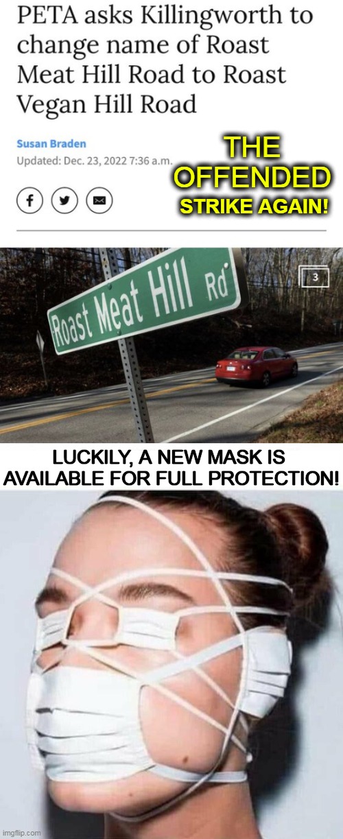 NOT SATIRE! NOT THE BEE! (Just Crazy in Connecticut) | THE 
OFFENDED; STRIKE AGAIN! LUCKILY, A NEW MASK IS 
AVAILABLE FOR FULL PROTECTION! | image tagged in politics,political humor,offended,mask,protection,words | made w/ Imgflip meme maker