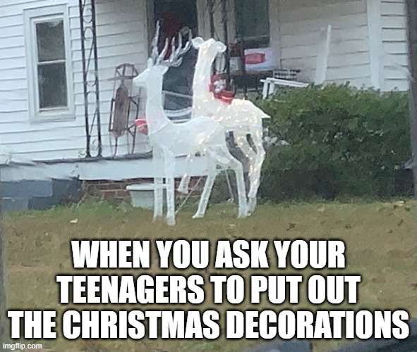 Frisky Reindeer | WHEN YOU ASK YOUR TEENAGERS TO PUT OUT THE CHRISTMAS DECORATIONS | image tagged in frisky reindeer,christmas memes,christmas decorations,christmas,reindeer | made w/ Imgflip meme maker