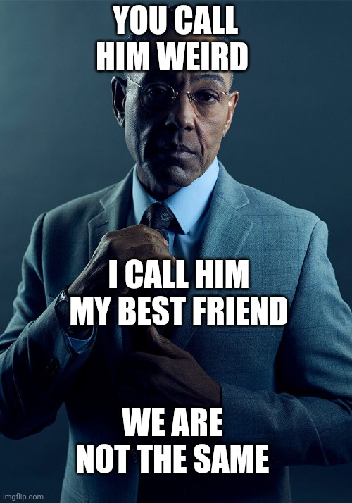 Gus Fring we are not the same | YOU CALL HIM WEIRD I CALL HIM MY BEST FRIEND WE ARE NOT THE SAME | image tagged in gus fring we are not the same | made w/ Imgflip meme maker