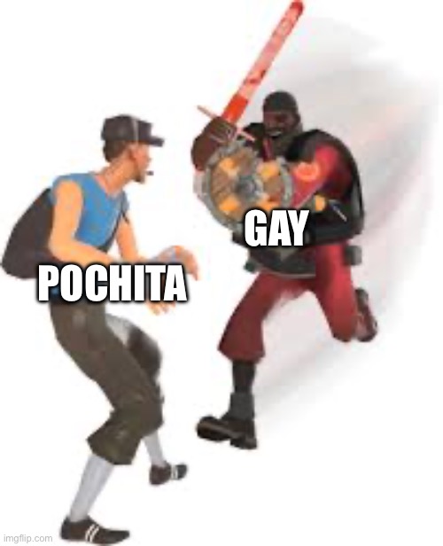 GAY; POCHITA | made w/ Imgflip meme maker