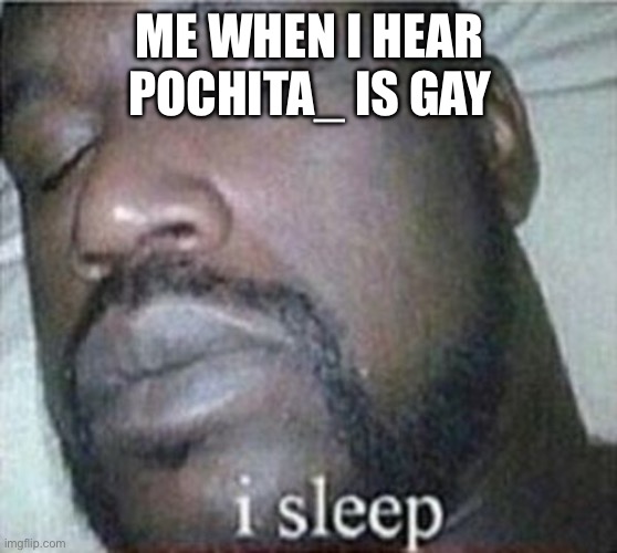 My honest opinion | ME WHEN I HEAR POCHITA_ IS GAY | image tagged in shaq i sleep only | made w/ Imgflip meme maker