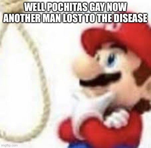 THIS IS WHAT I FUCKING MEAN | WELL POCHITAS GAY NOW ANOTHER MAN LOST TO THE DISEASE; Tying a noose brb | image tagged in mario suicide | made w/ Imgflip meme maker