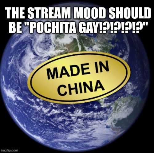 Earth Was Made In China | THE STREAM MOOD SHOULD BE "POCHITA GAY!?!?!?!?" | image tagged in earth was made in china | made w/ Imgflip meme maker