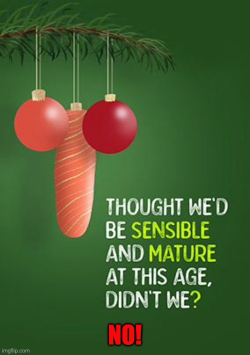 Christmas decorations | NO! | image tagged in christmas,decorations,sensible and mature,no,dark humour,merry christmas everyone | made w/ Imgflip meme maker