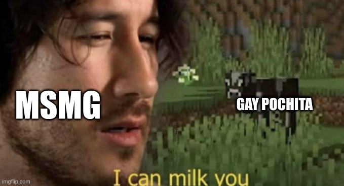gay pochita | MSMG; GAY POCHITA | image tagged in i can milk you | made w/ Imgflip meme maker