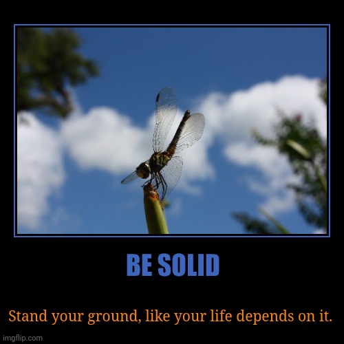 If you're a believer, Stand your ground, be patient | image tagged in funny,demotivationals | made w/ Imgflip demotivational maker