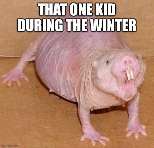 naked mole rat | THAT ONE KID DURING THE WINTER | image tagged in naked mole rat | made w/ Imgflip meme maker
