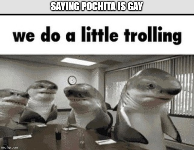 we do a little trolling | SAYING POCHITA IS GAY | image tagged in we do a little trolling | made w/ Imgflip meme maker