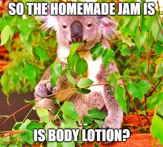 SO THE HOMEMADE JAM IS; IS BODY LOTION? | made w/ Imgflip meme maker