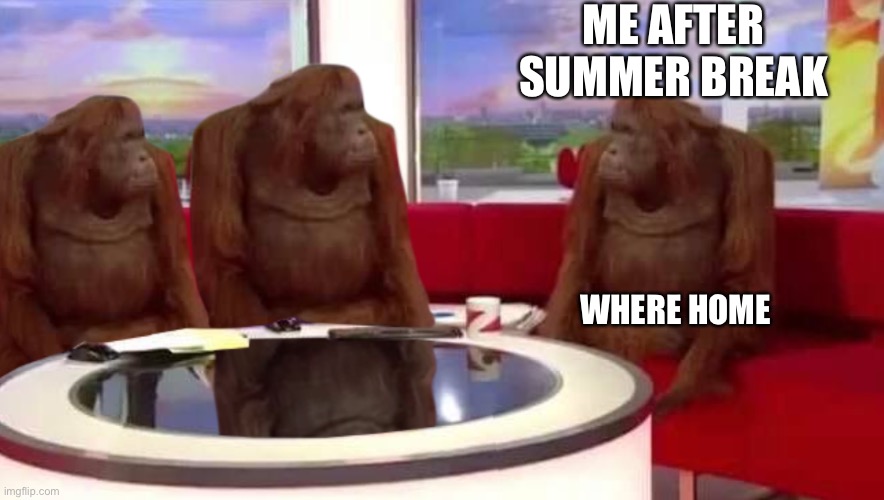 where monkey | ME AFTER SUMMER BREAK; WHERE HOME | image tagged in where monkey | made w/ Imgflip meme maker