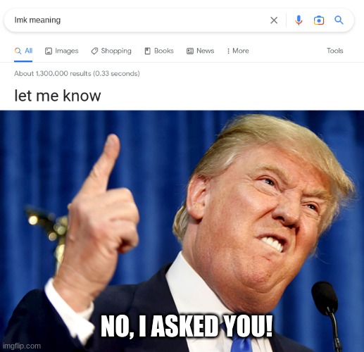 NO, I ASKED YOU! | image tagged in donald trump | made w/ Imgflip meme maker