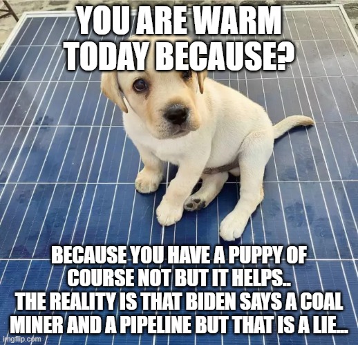 solar panels | YOU ARE WARM TODAY BECAUSE? BECAUSE YOU HAVE A PUPPY OF COURSE NOT BUT IT HELPS..
THE REALITY IS THAT BIDEN SAYS A COAL MINER AND A PIPELINE BUT THAT IS A LIE... | image tagged in puppy on solar panel,brandon,political meme,energy,americans,saying | made w/ Imgflip meme maker