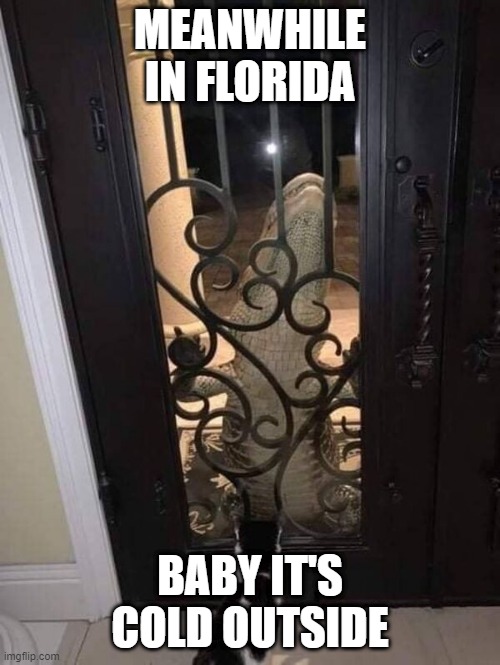 It's Cold Outside | MEANWHILE IN FLORIDA; BABY IT'S COLD OUTSIDE | image tagged in it's cold outside | made w/ Imgflip meme maker