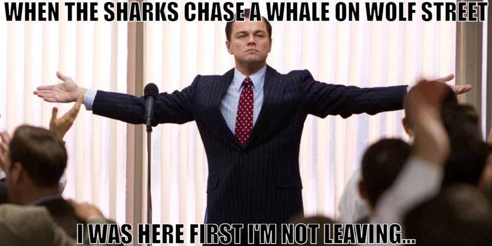 ITS GOES BY COMMINTY | WHEN THE SHARKS CHASE A WHALE ON WOLF STREET; I WAS HERE FIRST I'M NOT LEAVING... | image tagged in wolf of wall street - i'm not leaving,meme | made w/ Imgflip meme maker