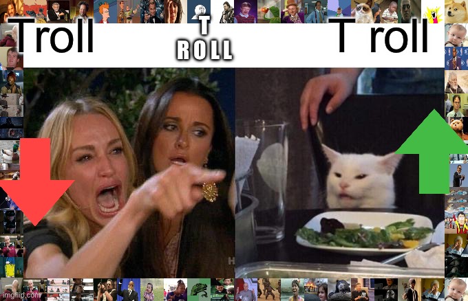Karen arguing over a cat | T R O L L; Troll; T roll | image tagged in memes,woman yelling at cat | made w/ Imgflip meme maker