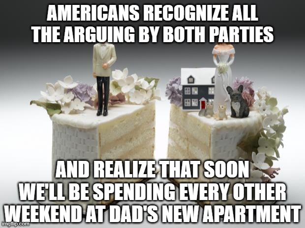 divorce | AMERICANS RECOGNIZE ALL THE ARGUING BY BOTH PARTIES; AND REALIZE THAT SOON WE'LL BE SPENDING EVERY OTHER WEEKEND AT DAD'S NEW APARTMENT | image tagged in divorce | made w/ Imgflip meme maker