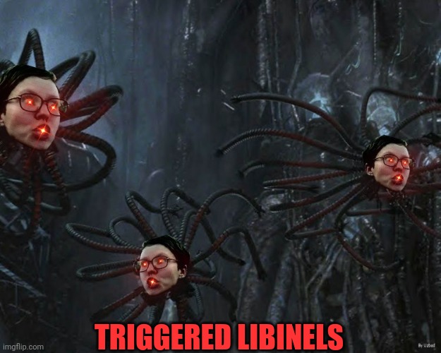 TRIGGERED LIBINELS | made w/ Imgflip meme maker
