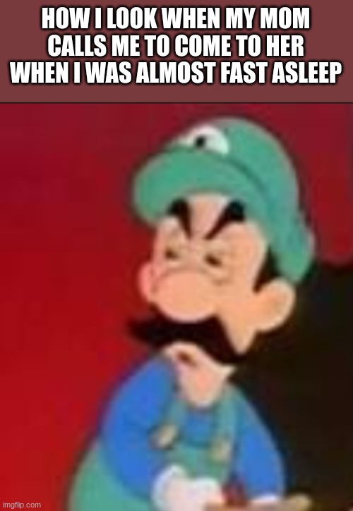 mamma luigi reaction | HOW I LOOK WHEN MY MOM CALLS ME TO COME TO HER WHEN I WAS ALMOST FAST ASLEEP | image tagged in mamma luigi reaction | made w/ Imgflip meme maker