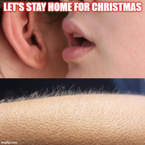 Christmas Goosebumps | LET'S STAY HOME FOR CHRISTMAS | image tagged in whisper and goosebumps,christmas,funny memes,stay home,introverts,happy holidays | made w/ Imgflip meme maker