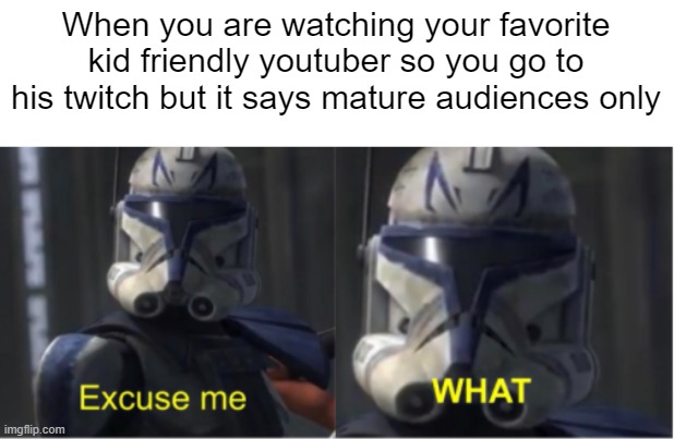 Why | When you are watching your favorite kid friendly youtuber so you go to his twitch but it says mature audiences only | image tagged in excuse me what | made w/ Imgflip meme maker