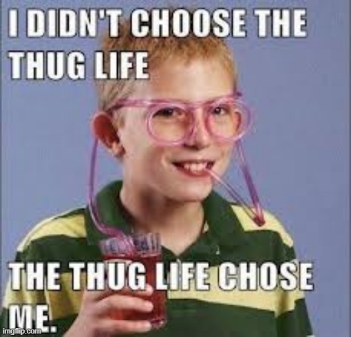 Thug Life | image tagged in repost | made w/ Imgflip meme maker