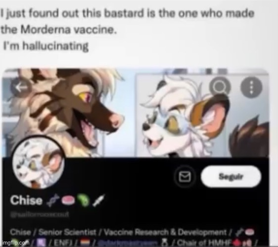 WHAT | image tagged in furry,vaccines | made w/ Imgflip meme maker