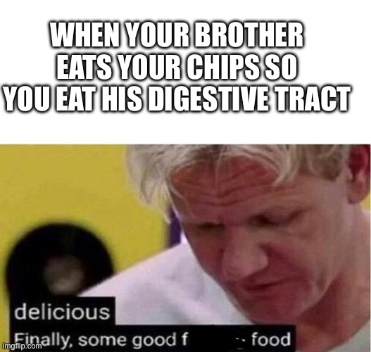Mmm | WHEN YOUR BROTHER EATS YOUR CHIPS SO YOU EAT HIS DIGESTIVE TRACT | image tagged in blank white template,gordon ramsay some good food | made w/ Imgflip meme maker