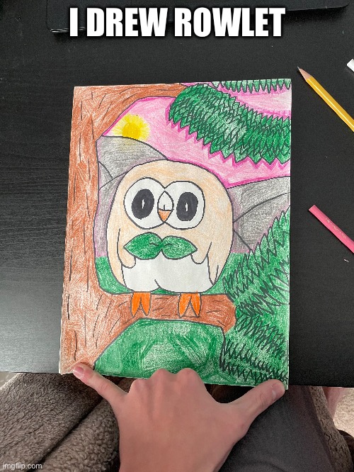 I hope you like him, Going to do todadile next | I DREW ROWLET | image tagged in pokemon,drawing | made w/ Imgflip meme maker