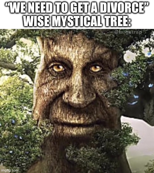 This isn’t working out ): | “WE NEED TO GET A DIVORCE”

WISE MYSTICAL TREE: | image tagged in wise mystical tree,divorce,funny,random,memes,some random oak tree | made w/ Imgflip meme maker