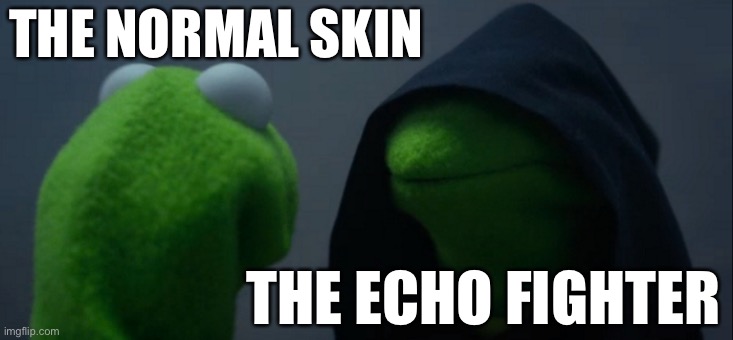 Evil Kermit Meme | THE NORMAL SKIN; THE ECHO FIGHTER | image tagged in memes,evil kermit | made w/ Imgflip meme maker