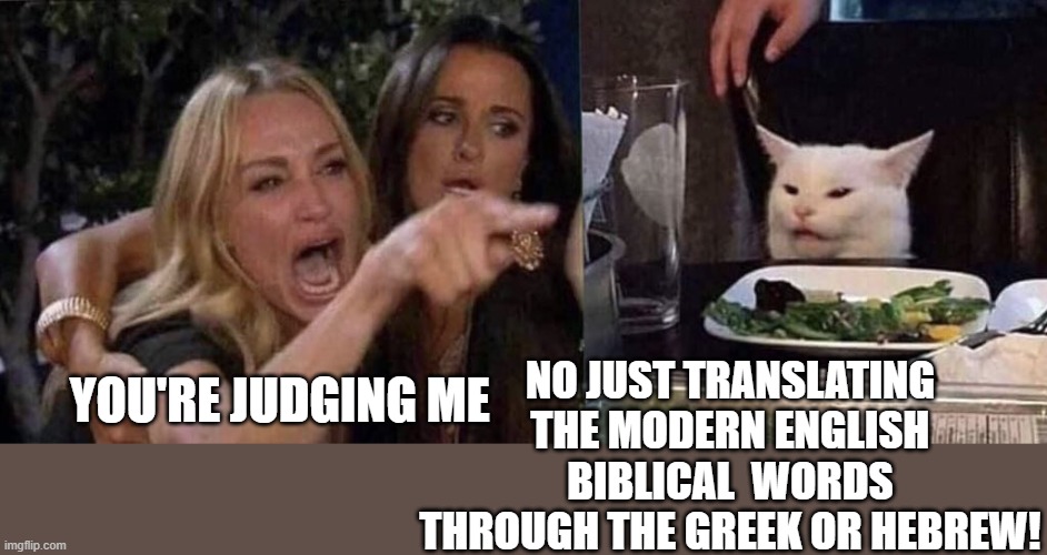 the grand debate for the apostates | NO JUST TRANSLATING THE MODERN ENGLISH BIBLICAL  WORDS THROUGH THE GREEK OR HEBREW! YOU'RE JUDGING ME | image tagged in woman yelling at cat,christianity,church,greek,judging you,every day we stray further from god | made w/ Imgflip meme maker