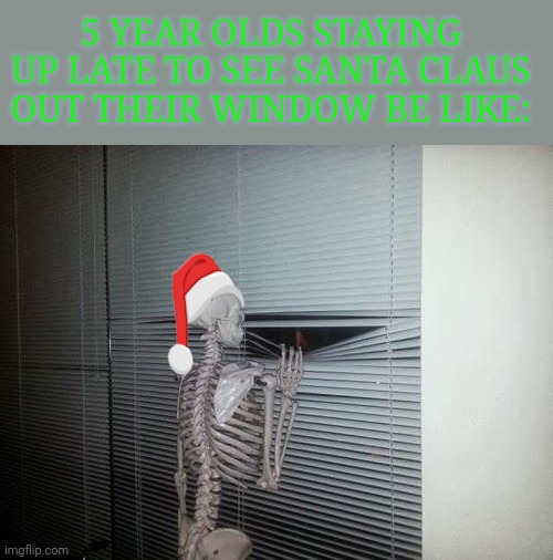 2022 was a long one, wasn't it? | 5 YEAR OLDS STAYING UP LATE TO SEE SANTA CLAUS OUT THEIR WINDOW BE LIKE: | image tagged in skeleton looking out window,christmas,santa claus | made w/ Imgflip meme maker