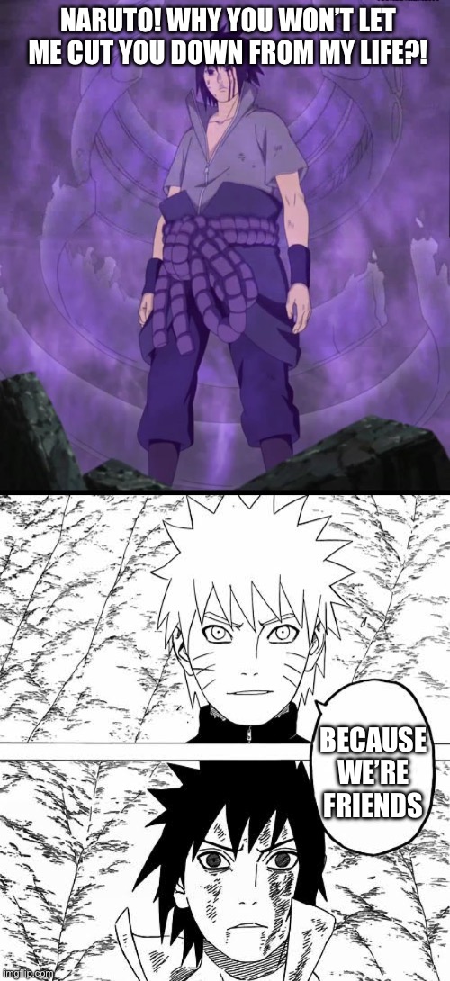 Naruto and Sasuke, Friends and the 2 Protectors forever | NARUTO! WHY YOU WON’T LET ME CUT YOU DOWN FROM MY LIFE?! BECAUSE WE’RE FRIENDS | image tagged in sasuke uchiha,naruto vs sasuke,sasuke,naruto shippuden,memes,naruto | made w/ Imgflip meme maker