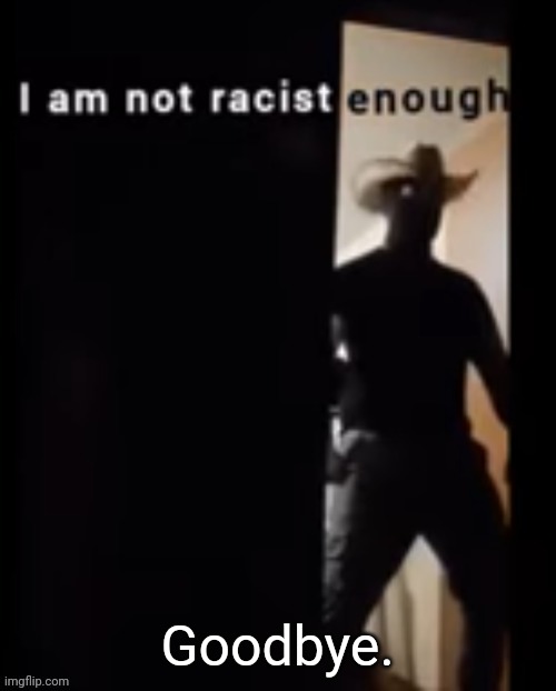 I am not racist enough | Goodbye. | image tagged in i am not racist enough | made w/ Imgflip meme maker
