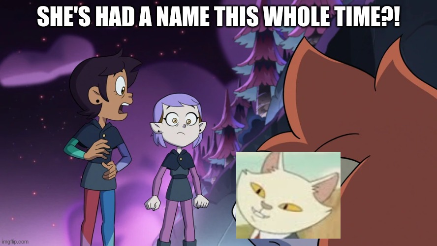 Remember that most shocking Infinity Train Moment? | SHE'S HAD A NAME THIS WHOLE TIME?! | image tagged in the owl house,infinity train,InfinityTrain | made w/ Imgflip meme maker