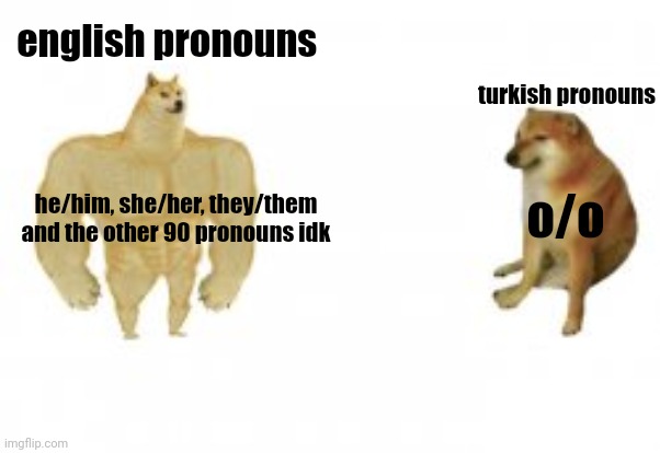 "who?" o. | english pronouns; turkish pronouns; he/him, she/her, they/them and the other 90 pronouns idk; o/o | image tagged in chad cheem vs virgin cheem,memes,funny,pronouns,turkey | made w/ Imgflip meme maker