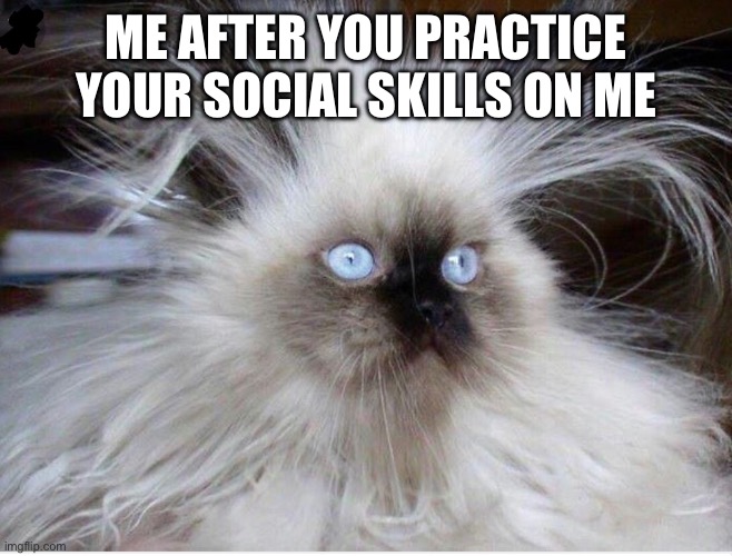 Frazzled over politics | ME AFTER YOU PRACTICE YOUR SOCIAL SKILLS ON ME | image tagged in frazzled over politics | made w/ Imgflip meme maker