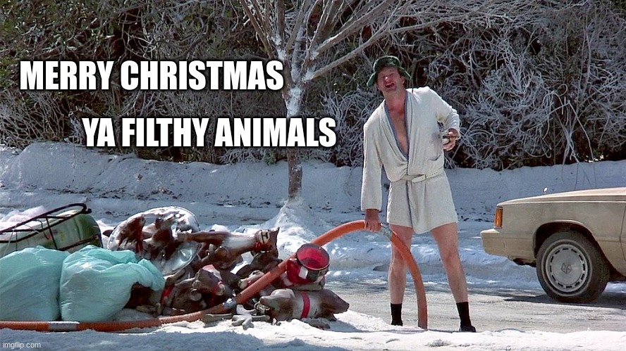 Wrong Movie Quotes | MERRY CHRISTMAS; YA FILTHY ANIMALS | image tagged in home alone,clark griswold,christmas,merry christmas | made w/ Imgflip meme maker