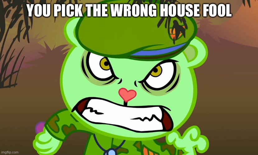 Evil Side (HTF) | YOU PICK THE WRONG HOUSE FOOL | image tagged in evil side htf,flippy,happy tree friends | made w/ Imgflip meme maker