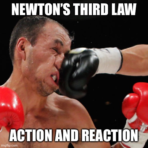 Boxer Getting Punched In The Face | NEWTON’S THIRD LAW; ACTION AND REACTION | image tagged in boxer getting punched in the face | made w/ Imgflip meme maker