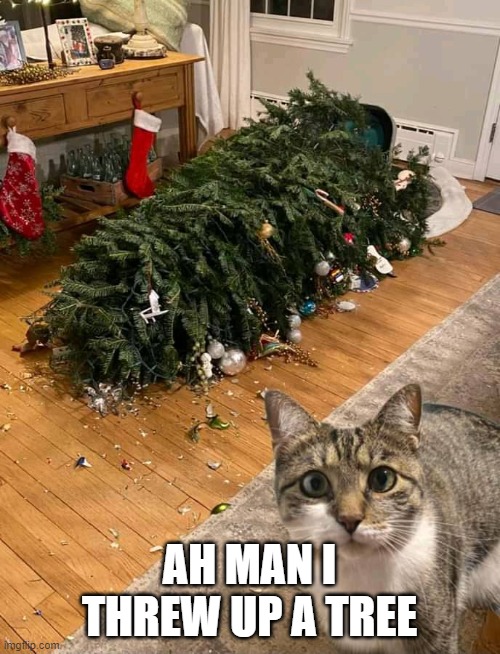 Kitty Tree Crash | AH MAN I THREW UP A TREE | image tagged in kitty tree crash | made w/ Imgflip meme maker