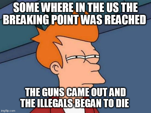Futurama Fry Meme | SOME WHERE IN THE US THE BREAKING POINT WAS REACHED; THE GUNS CAME OUT AND THE ILLEGALS BEGAN TO DIE | image tagged in memes,futurama fry | made w/ Imgflip meme maker