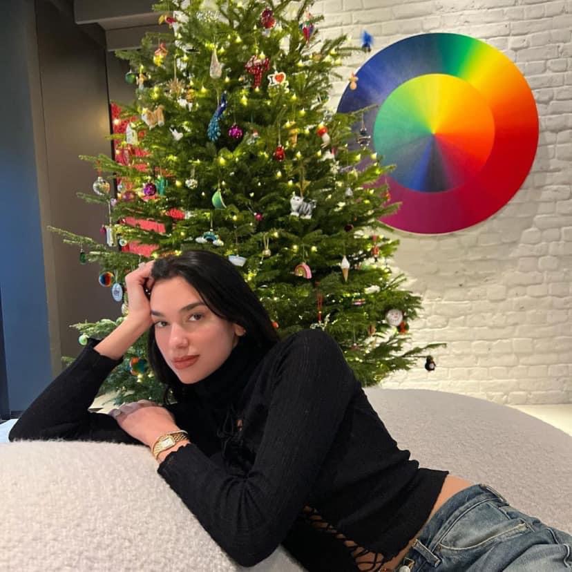 High Quality Dua Lipa Christmas Blank Meme Template